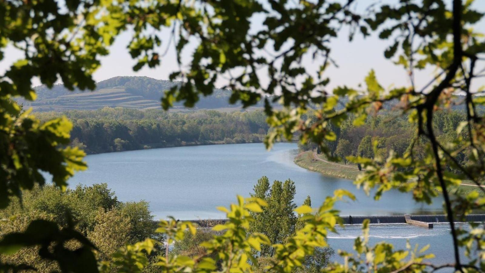 Ferienhof Schloessle Sasbach am Kaiserstuhl Eksteriør bilde