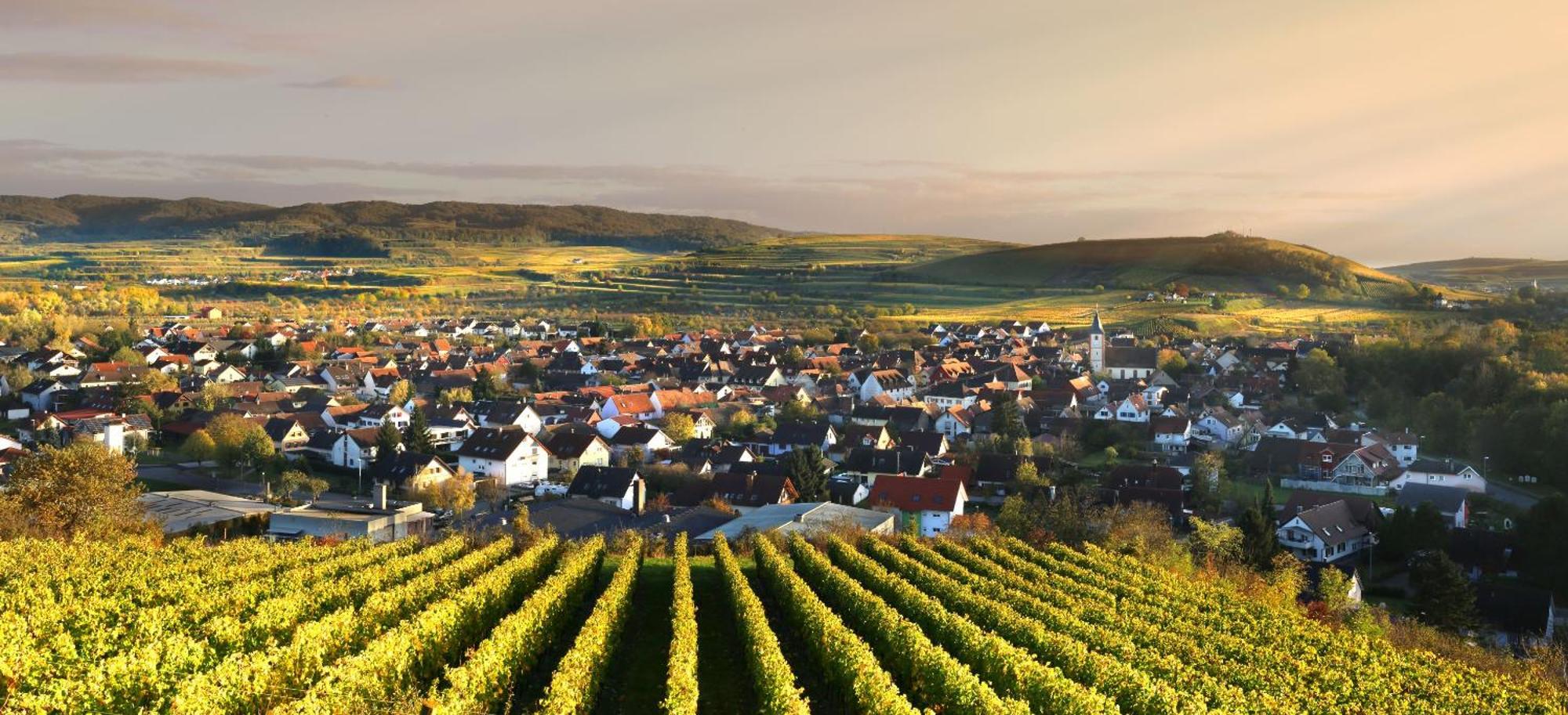 Ferienhof Schloessle Sasbach am Kaiserstuhl Eksteriør bilde
