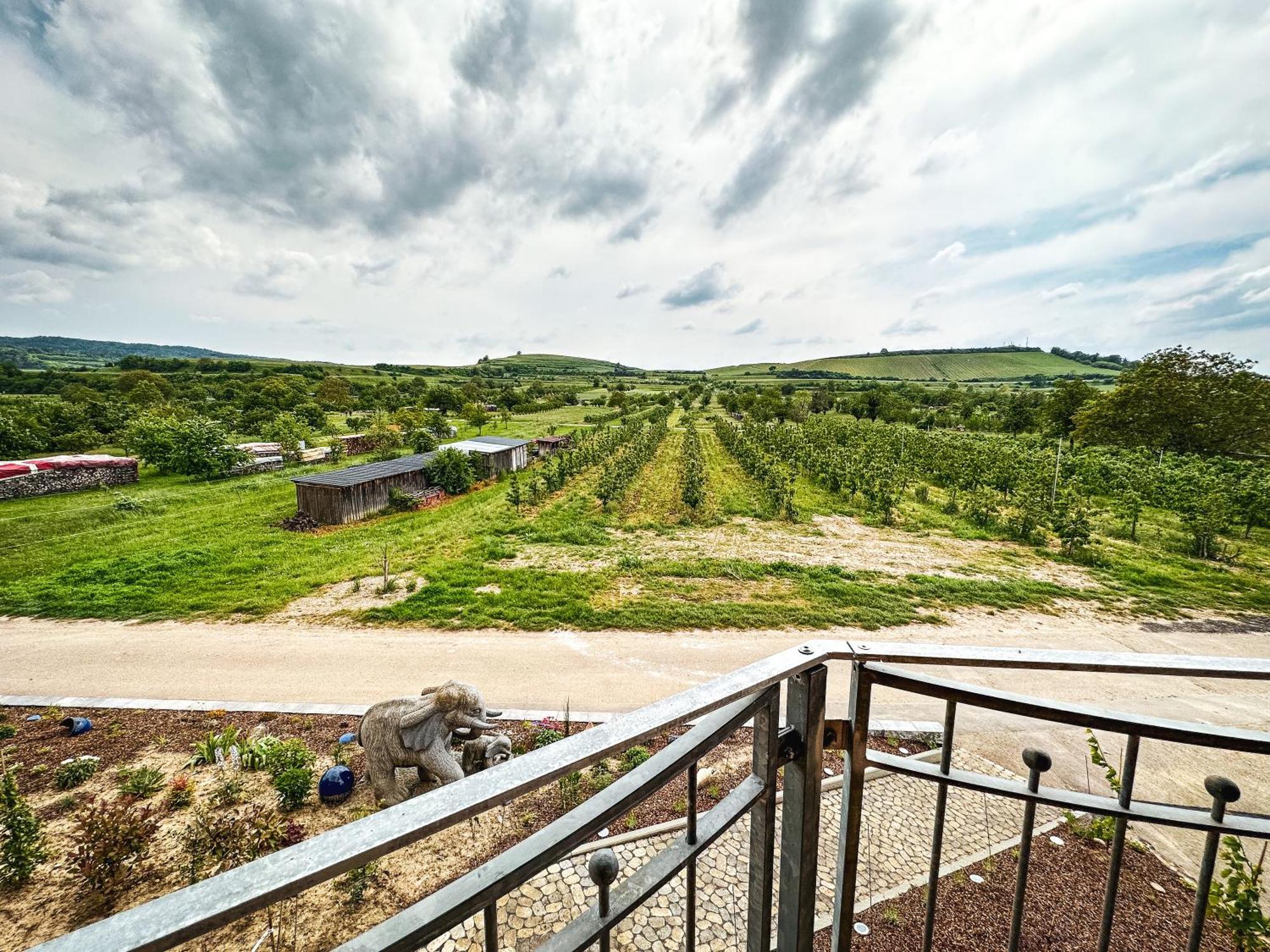 Ferienhof Schloessle Sasbach am Kaiserstuhl Eksteriør bilde